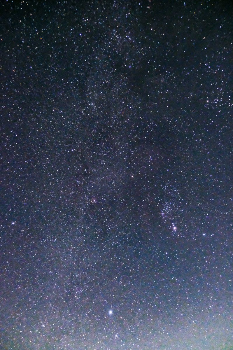 わらび 冬のダイヤモンドを探してきました 下の方で一際明るいのがシリウス 右下にオリオン座があります 縦画像です