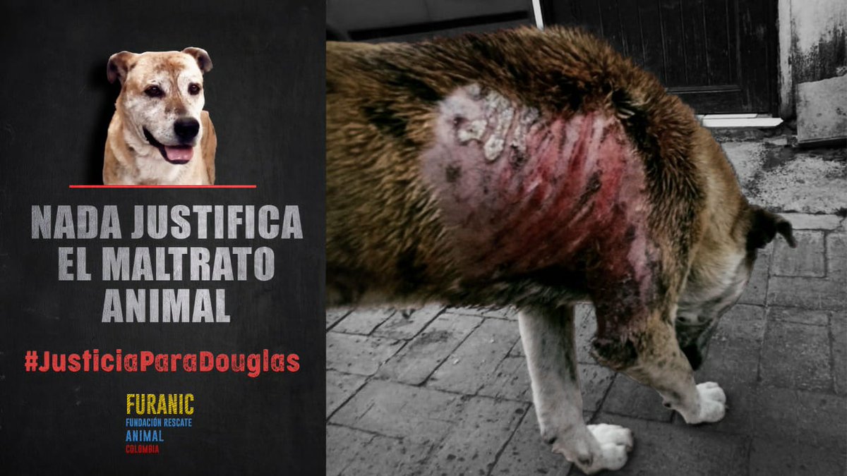 Furanic_Col's tweet photo. La denuncia por la quemadura con agua hirviendo que sufrió Douglas por una habitante de Cota, está en la Inspección de Policía del municipio. Exigimos cumplimiento de la Ley 1774 de 2016. 
#JusticiaParaDouglas @ELTIEMPO @DanielSamperO https://t.co/nsZlCxjQ22