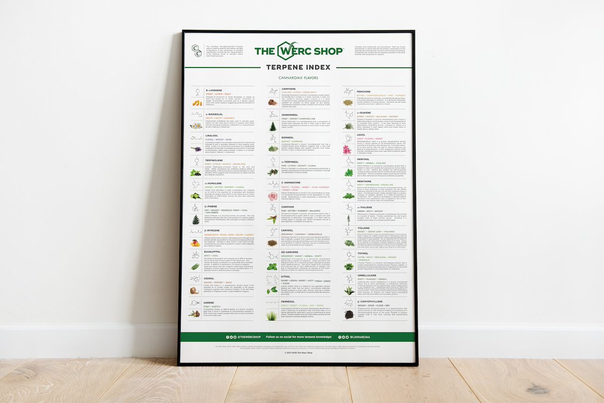 Cannaroma's tweet photo. The perfect gift for the cannasseur in your life -- on our Terpene Index Poster, over 25 terpenes are profiled, including the molecule structure, botanical sources, and aromatic descriptions of each. for more info go to https://t.co/3kzGnDSAV4
#cannaroma #terpene #cannabisposter https://t.co/DnW5ht7b4U
