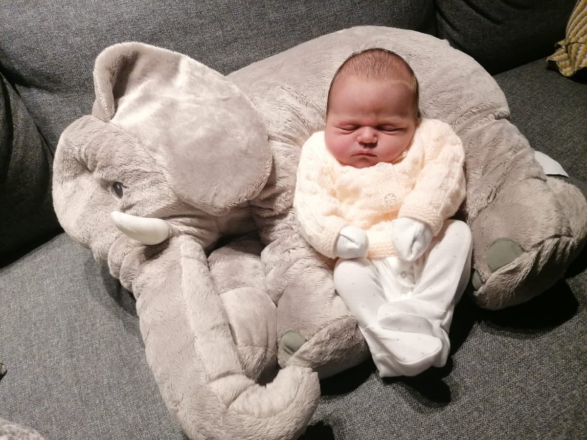 St Matthew's Primary tweet media