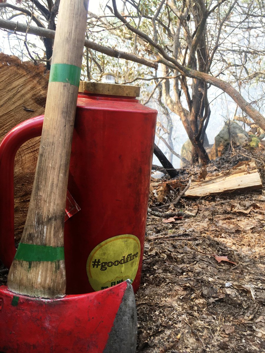nature_TN's tweet image. ICYMI we joined @USFSRegion8 and other partners at the #CherokeeNationalForest Landscape Restoration Initiative in delivering #GoodFire at one of our highest priority sites. Even better, it marked he 100th burn day for @NC_TNC! @Nature_Fire 
📷 by Adam Warwick/TNC and Ken Shields