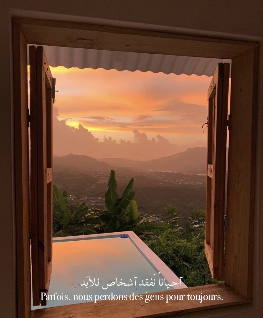 amevoyageuse__'s tweet image. 