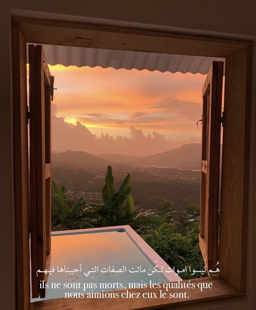 amevoyageuse__'s tweet image. 