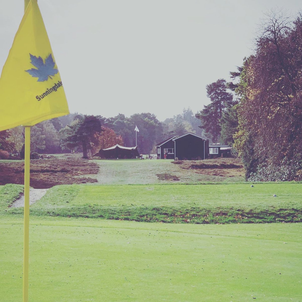 Today was due to be my first visit to the stunning @GolfShgc hosted by @TOMREIDGOLF - sadly and obviously unable to go but I will get there, and can’t wait!! #golf #sunningdaleheathgc
#surrey #greens #golfing #Hospitality