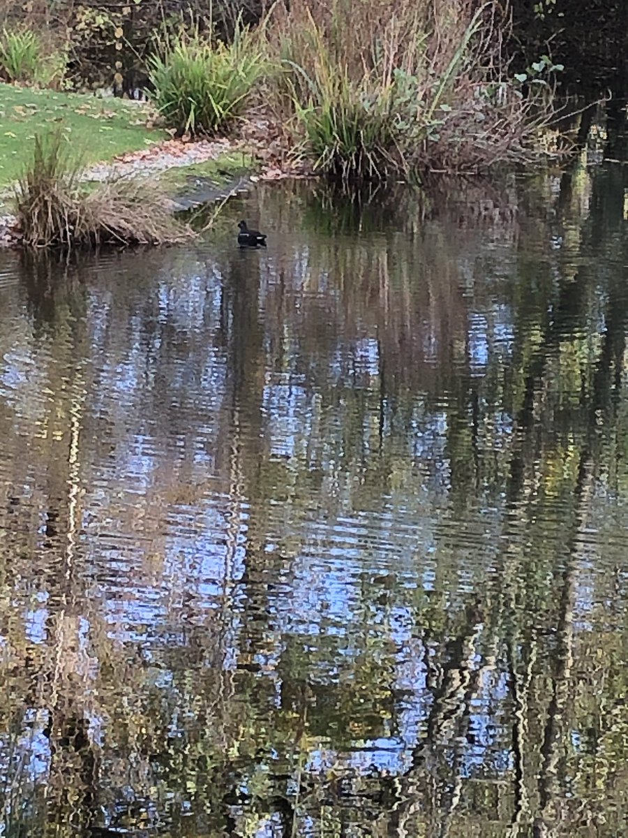 Little lunch time stroll at <a href="/birmingham_bp/">Birmingham Business Park</a> with <a href="/joannedavies79/">Joanne Davies</a> for some cheeky <a href="/returnofmisterv/">Mister V Street Food</a>