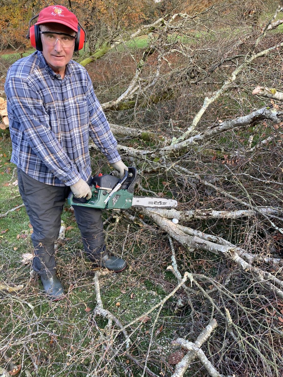 Golf ball found up a tree at athlone golf club loser can claim in the Pro shop