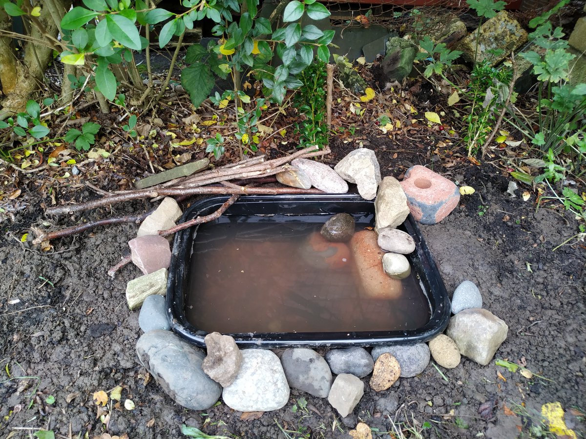 Stullseh's tweet photo. Children built a micro pond this morning. Just need plants now. They are hoping to give the birds a drink and attract some newts 🦎🐦 @Natures_Voice @WWTworldwide 
#pondlife https://t.co/9q8ZPIt7CF