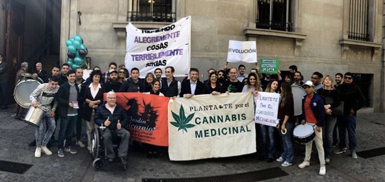 CMedicinalCABA's tweet photo. Hoy es el día. La @legiscaba se encuentra debatiendo el proyecto de ley que contempla la regulación del #CannabisMedicinal, la promoción de la investigación y el autocultivo.

Súmate para garantizar el derecho a la salud💪🌱
@lehalperin @JardinUnicornio @MaraResio https://t.co/3awFhQqZy3