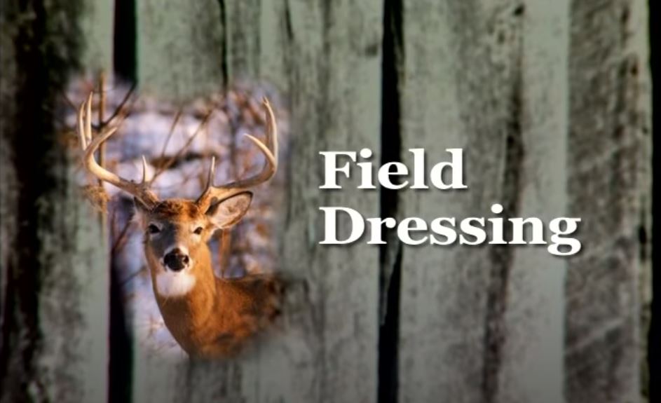kyfishwildlife's tweet photo. If you’ve never processed a deer and are interested in trying it, let @kentuckyafield show you how. Find their how-to videos and more deer hunting information at https://t.co/fTIqOaMxfL. #fieldtofork https://t.co/q5VRSjpFXU