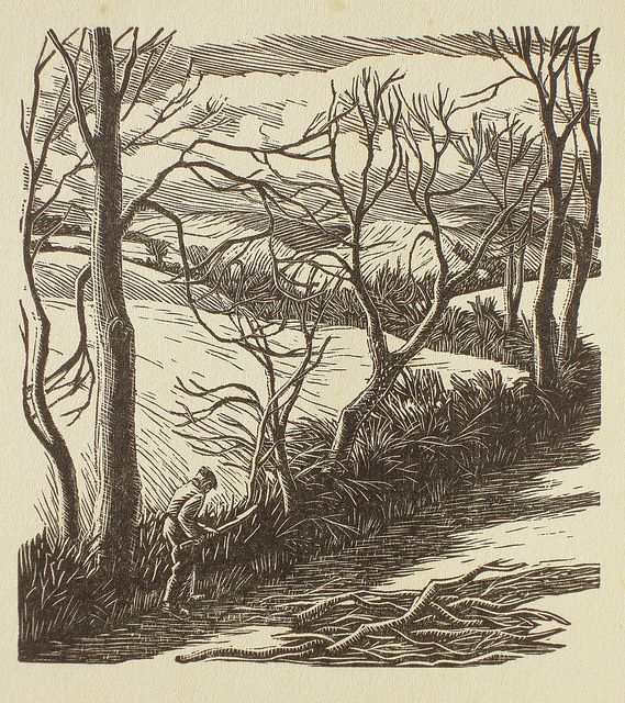 Gwendolen Raverat (1885-1957) 