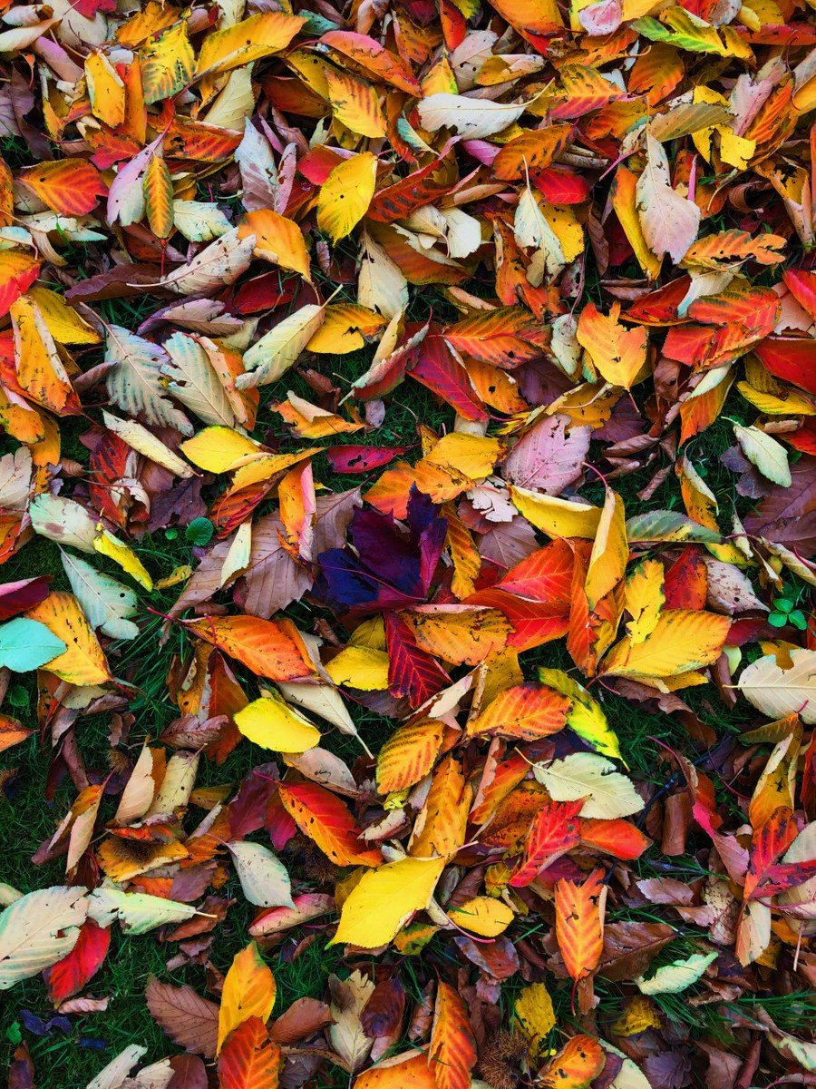 Skerries Community College Photography Club tweet media