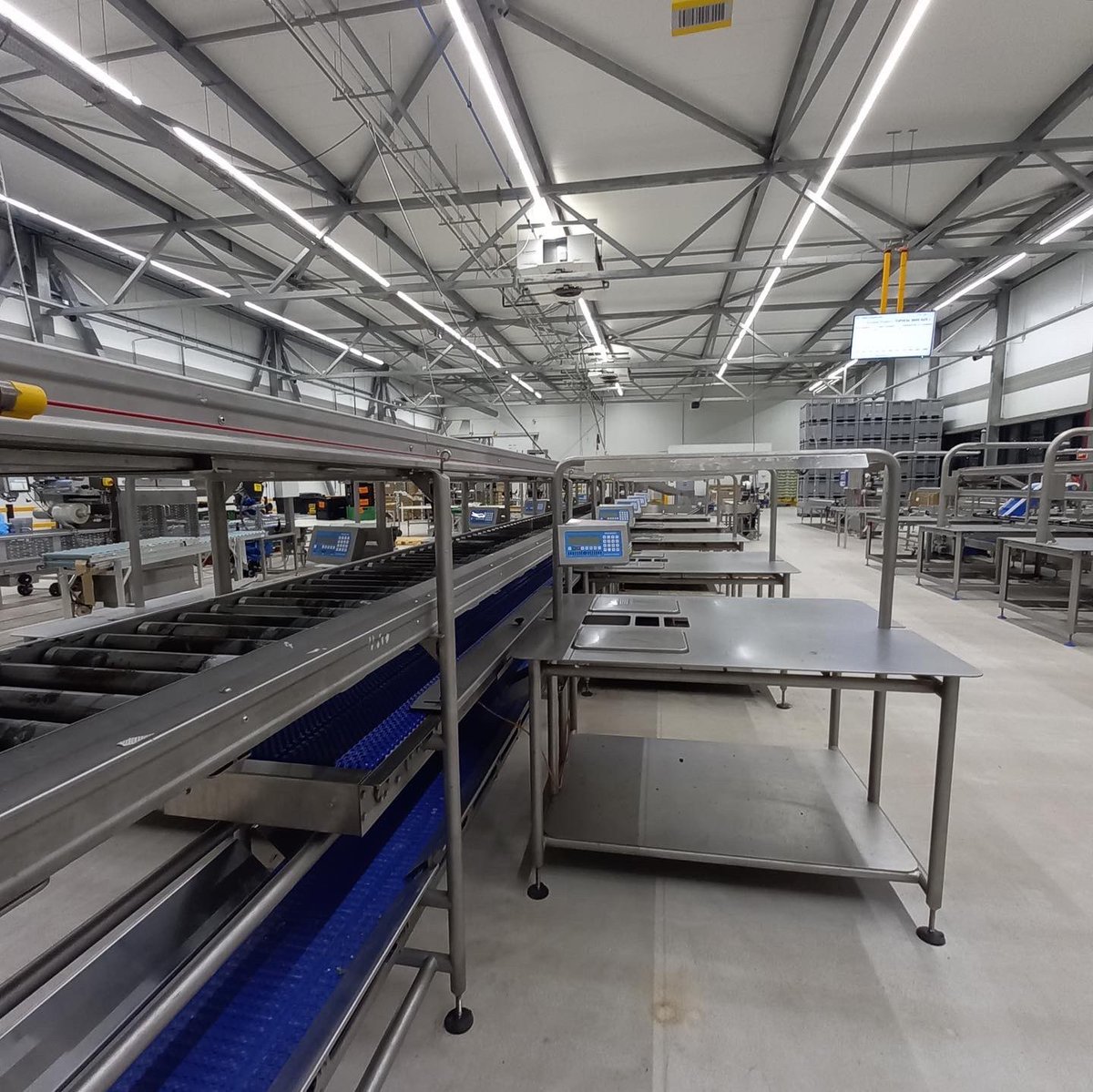 wepacktogether's tweet photo. Citrus 🍊is making room for grapes🍇 At this moment, our netting machinery is being replaced for our top-sealer equipment. Our dynamic machine park enables us to pack with different packing systems, suitable for every season.

#cppr #coolport #wepacksmartertogether https://t.co/LNbZMRgAY3
