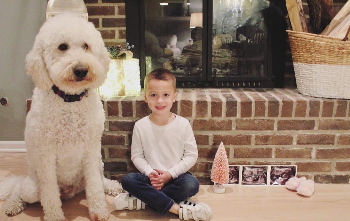 Geoffrey Youngberg tweet media