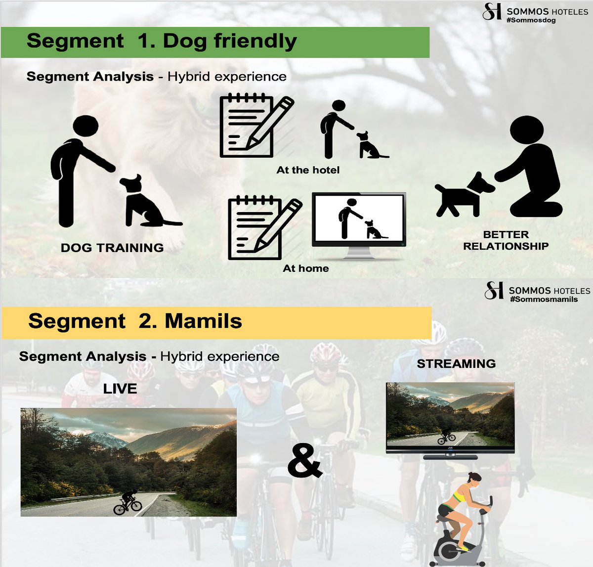 Turistoleg's tweet image. If we had defined Specialized #Segments that improve their professional/personal life through a trip... NOW, we could do plenty of Hybrid activities even without travel.
#BigShift #ProfoundTransformation
If you have any doubt... You always can ask to My #Touristologists!