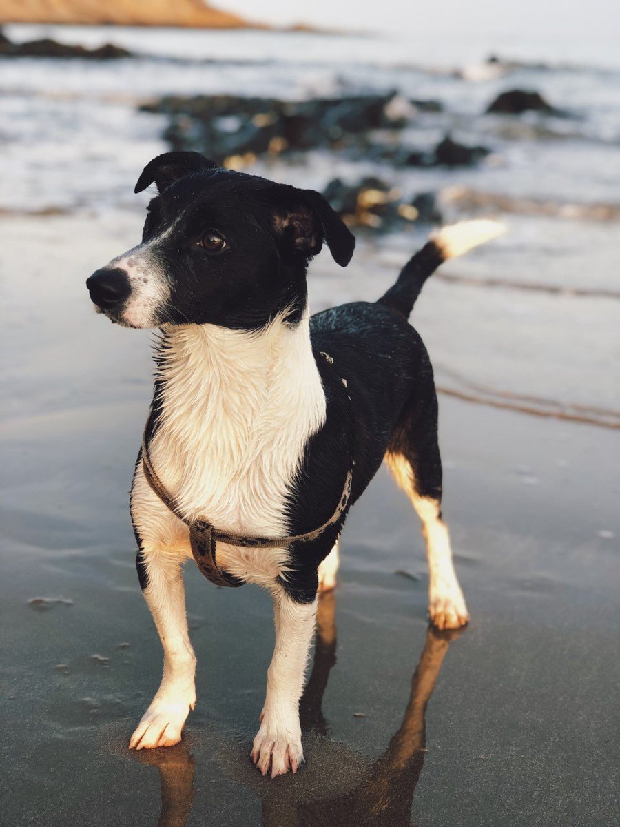 Skerries Community College Photography Club tweet media