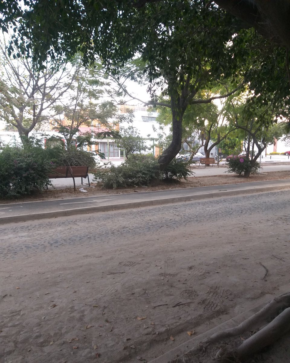 Hard Training...The Best