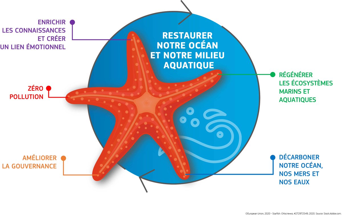 Participez à la ⭐️Mission Starfish 2030 ⭐️ menée en France par <a href="/Ifremer_fr/">Ifremer 🌊</a> sur l'avenir de l'#ocean en répondant à l'enquête ✍️ pour donner votre avis 
👉 starfish2030.ifremer.fr