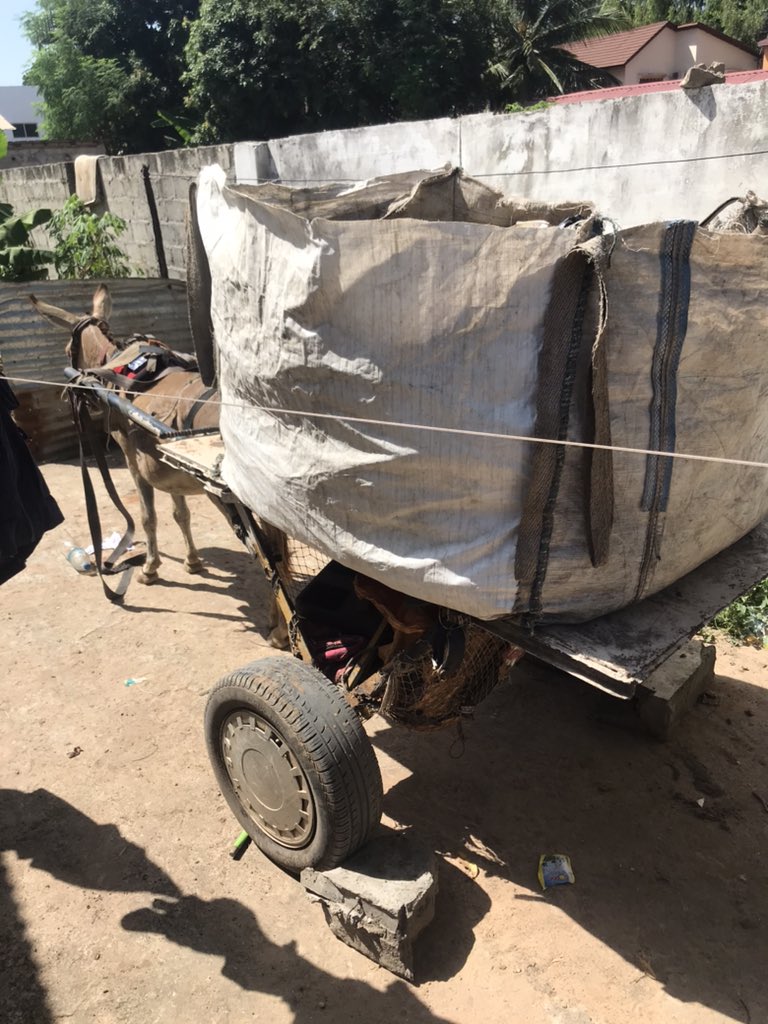sanusey13's tweet photo. Donkey taxi https://t.co/b9Hmm9TkZd