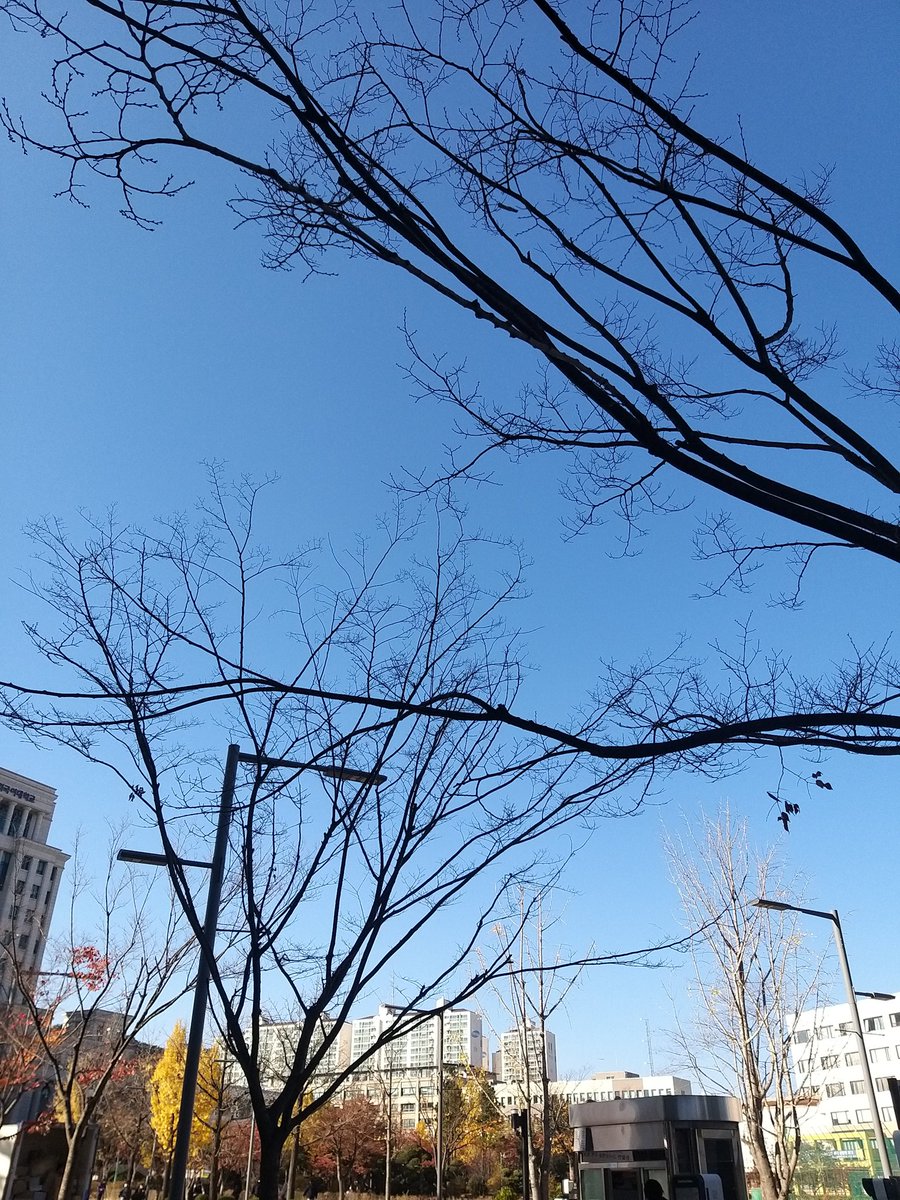 chuchuhangul's tweet photo. Winter is coming🇰🇷💙❄☃️🥰
ใบไม้ที่มอร่วงเกือบหมดเเย้วววอากาศช่วงนี้ก็หนาวววว🧣#한국 #한국생활 #한국어문화교육원 #한국외국어대학교 #한국외대 #한국유학 #유학생 #한국어공부 #한국어공부중 #hufs #cklc #koreanlanguage #koreanstudy #studyinkorea #studyabroad #koreanclass https://t.co/ldDCzGN7gS