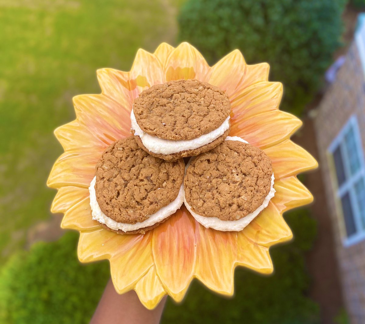 veganhippiesol's tweet photo. I have a holiday e-cookbook out and here are some of the amazing recipes you’ll find in it. Lobster Bisque, Krab Cakes, Jackfruit Stew, Oatmeal Creme Pies, and more. If you have a moment please retweet and check it out. 100% vegan and made with love. 🌱❤️ https://t.co/N9dubmrYcd https://t.co/Mi8FL2gIKj