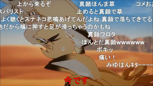 サツバシ幻葉 真顔フレンズ けものフレンズ 4話 当時の2chの反応 T Co Kfhubdlqyf Sm ニコニコ動画 T Co 1ff18gkles Twitter サツバシ幻葉 真顔フレンズ けものフレンズ 4話 当時の2chの反応 T Co Kfhubdlqyf Sm ニコニコ動画 T Co 1ff18gkles Twitter