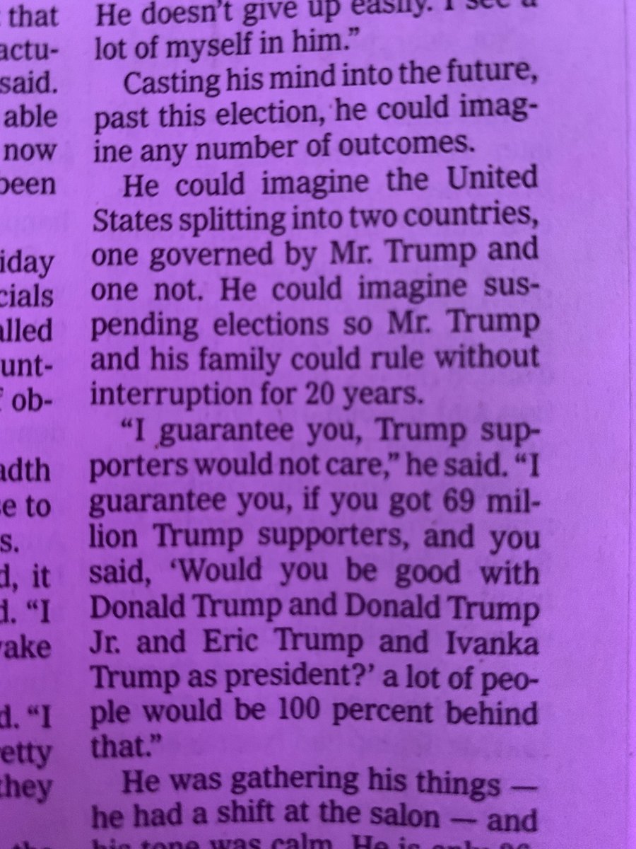 If people don’t have baseline education about how democracy works and WHY people fought for it, they’re going to believe shocking crapola like this. (From Sunday’s Nyt)