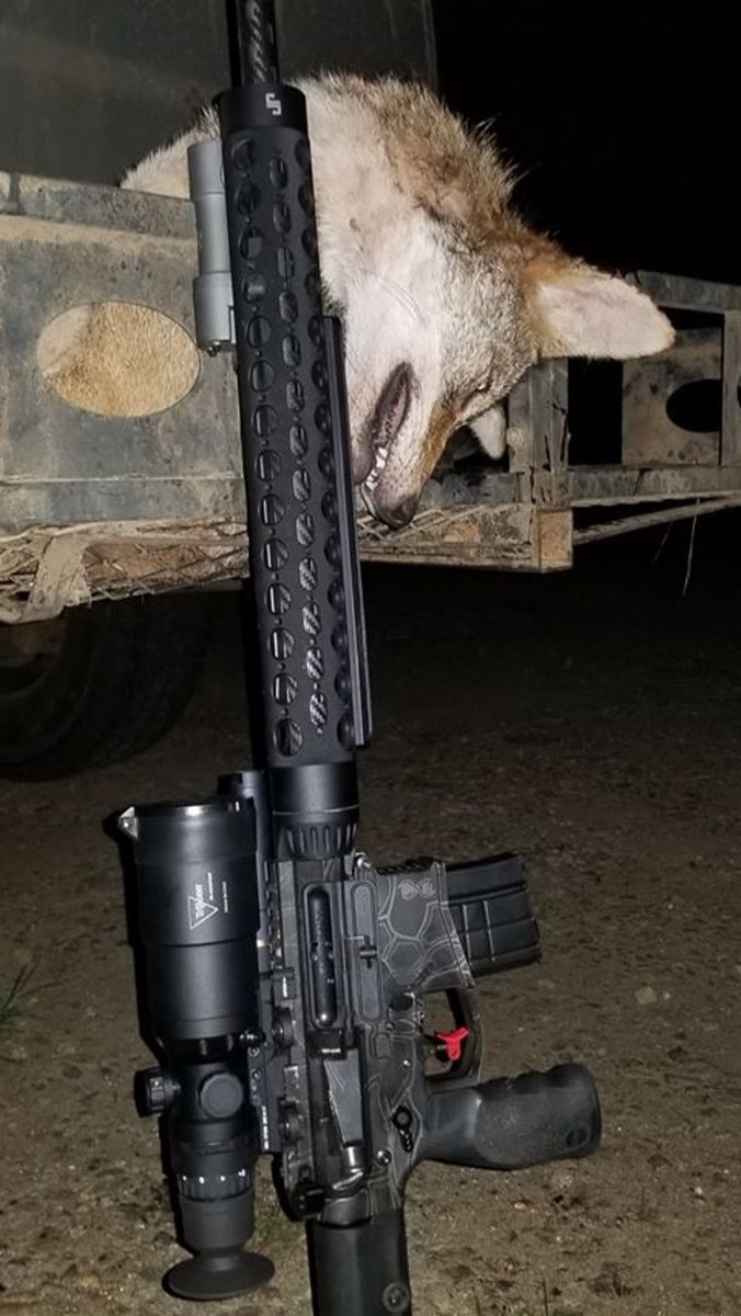 TrijiconHunt's tweet photo. Another coyote down.
📷 FB: Lex Febach
#IRHUNTER #Coyote #PredatorHunting #TrijiconHunt https://t.co/1XR4ZlbvGJ