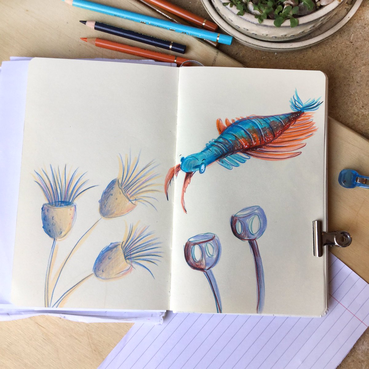 RachelErinIllus's tweet photo. I’ve been really enjoying this week’s Symbiosis Conference with @morethanadodo and @unibirmingham all about Art and Science - some drawings from yesterday’s sessions: Mammoths, Neanderthals and of course the wonderful #FirstAnimals exhibition at OUMNH @djemurdock https://t.co/dNffMe7U5r