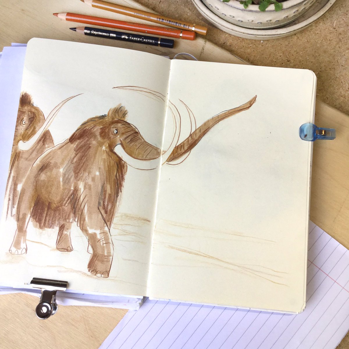 RachelErinIllus's tweet photo. I’ve been really enjoying this week’s Symbiosis Conference with @morethanadodo and @unibirmingham all about Art and Science - some drawings from yesterday’s sessions: Mammoths, Neanderthals and of course the wonderful #FirstAnimals exhibition at OUMNH @djemurdock https://t.co/dNffMe7U5r