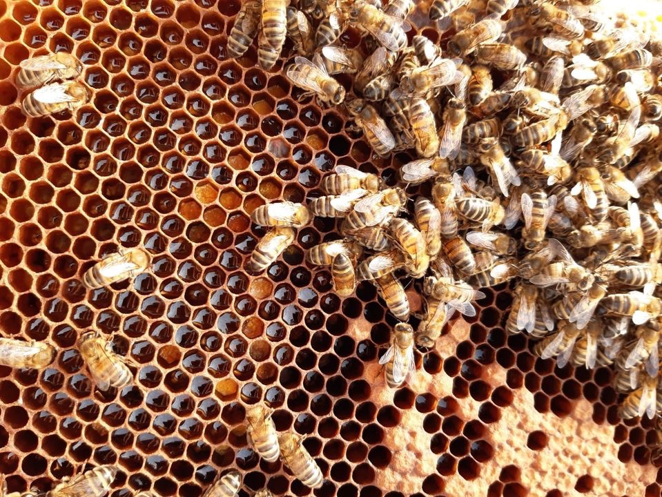 Palace Hotel, Noordwijk tweet media