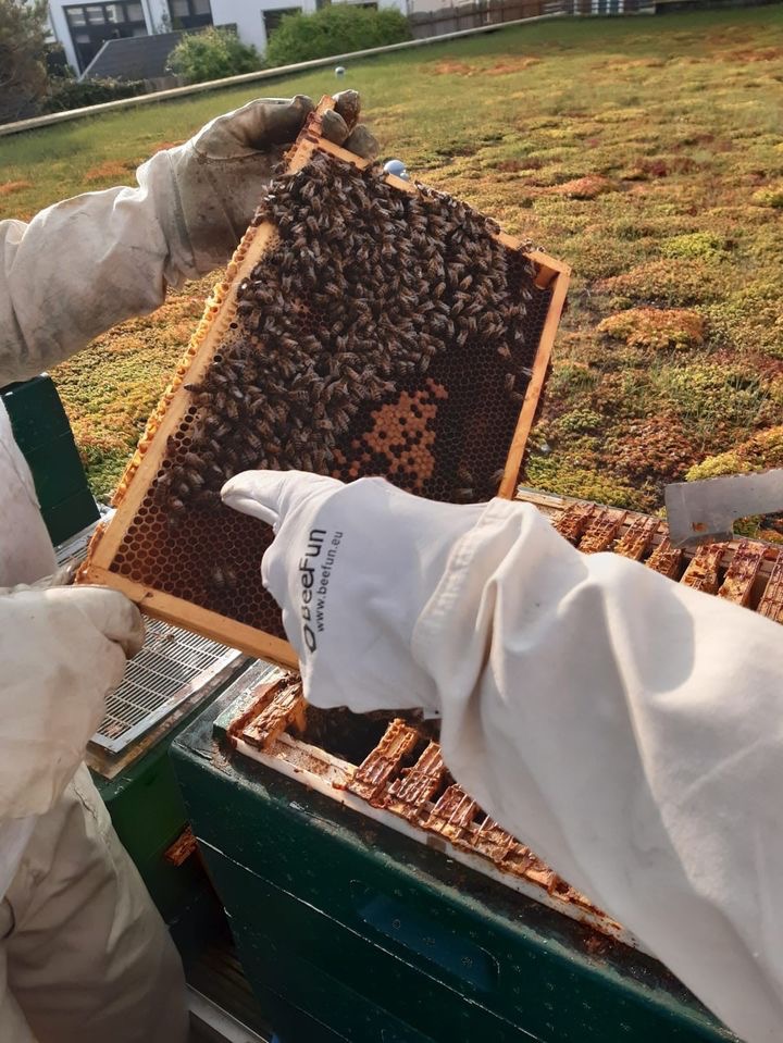 Palace Hotel, Noordwijk tweet media