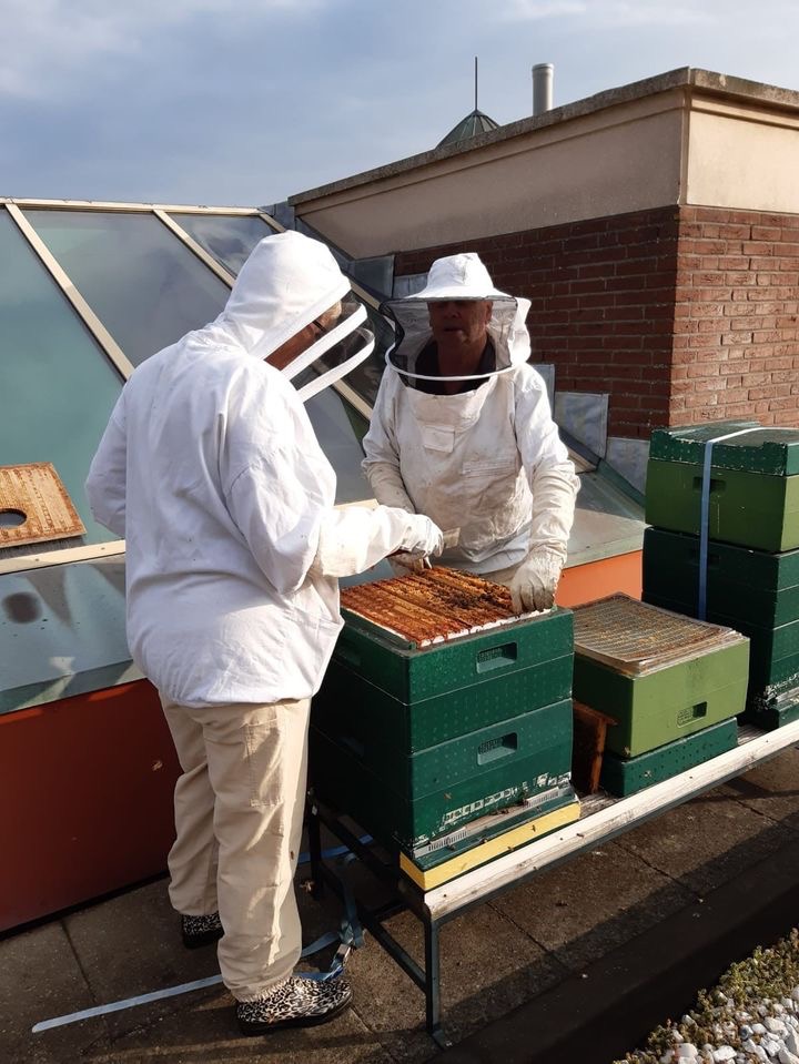 Palace Hotel, Noordwijk tweet media