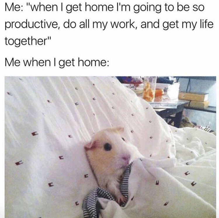 RespectfulMemes's tweet photo. https://t.co/mA4EJkCIss