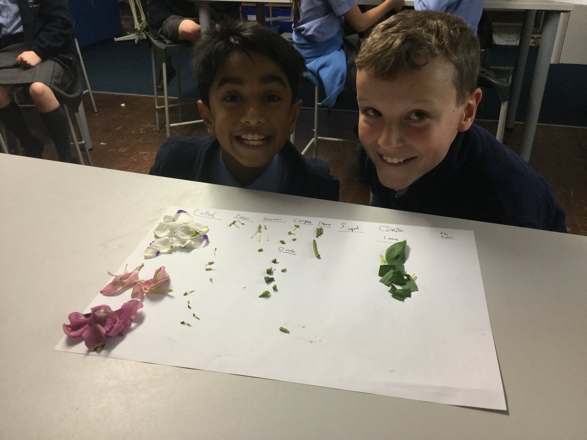 GriffinHouseSch's tweet photo. Flower dissection in Form V Science #GHSFormV #GHSScience https://t.co/v749uG6U76