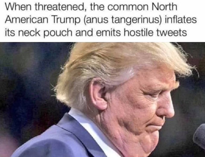 EmoLbyWU8AAeud4?format=jpg&name=small