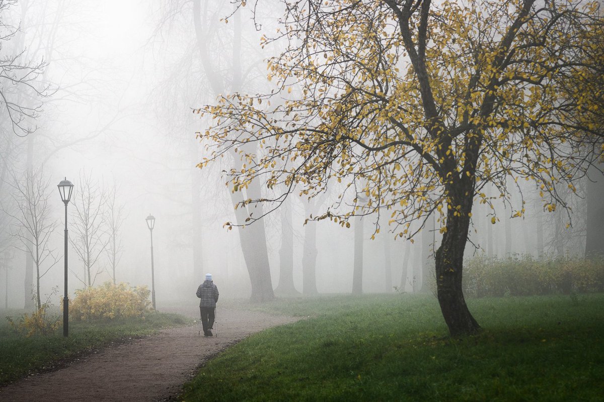 pora_provetrit's tweet photo. Туманы - часть 8
#nikon #nikonrussia #nikonz50 #manuallens #tamron90mm #vsco #vscoru #fog #naturelovers https://t.co/cJlPeEAPqe