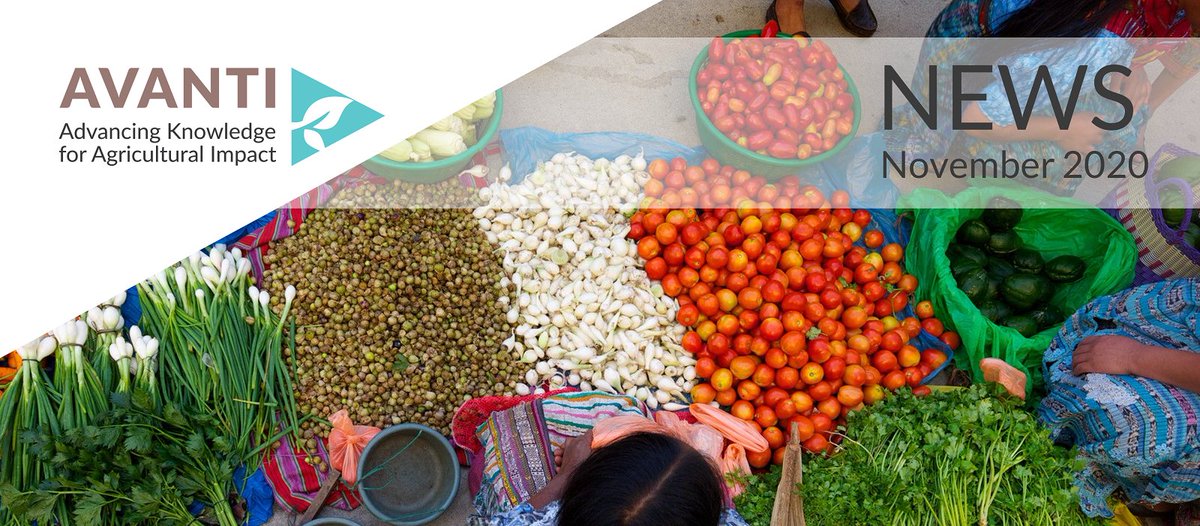 AVANTI_Agr's tweet photo. AVANTI NOVEMBER NEWSLETTER IS OUT! Find out about our year so far: e-panels, blogs, knowledge products and more >

https://t.co/rdoQAODzjl

#SDGs #agriculture #RBM @IFAD @ItadLtd @Helvetas https://t.co/7dzkPkdIxM