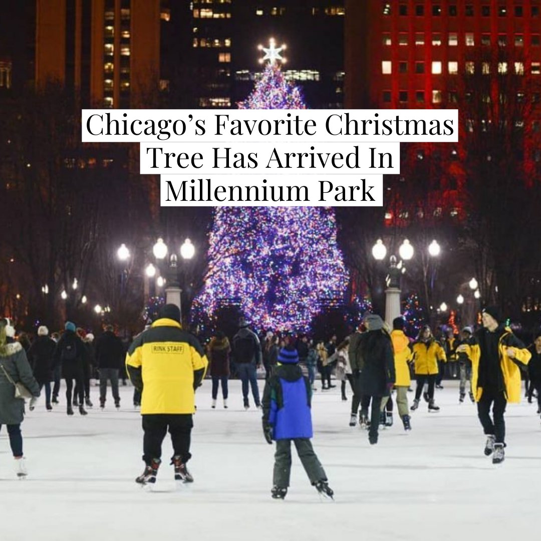 Chicago’s Favorite Christmas Tree Has Arrived In Millennium Park
#Chicago #HolidaySeason #MillenniumPark fal.cn/3bwCM