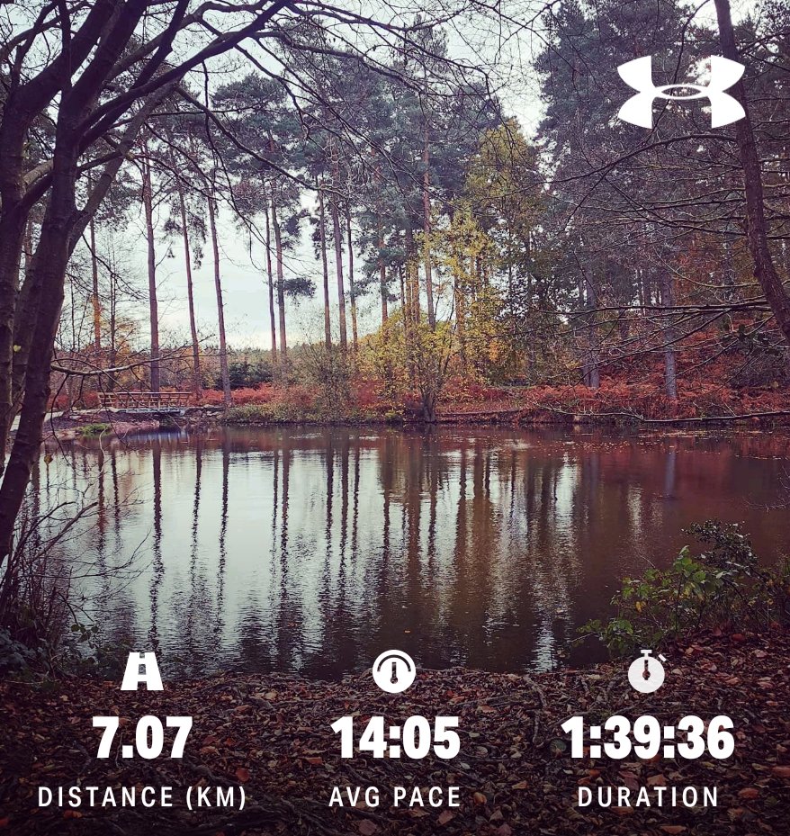 Loving my new lifestyle of walking 🚶‍♀️😍