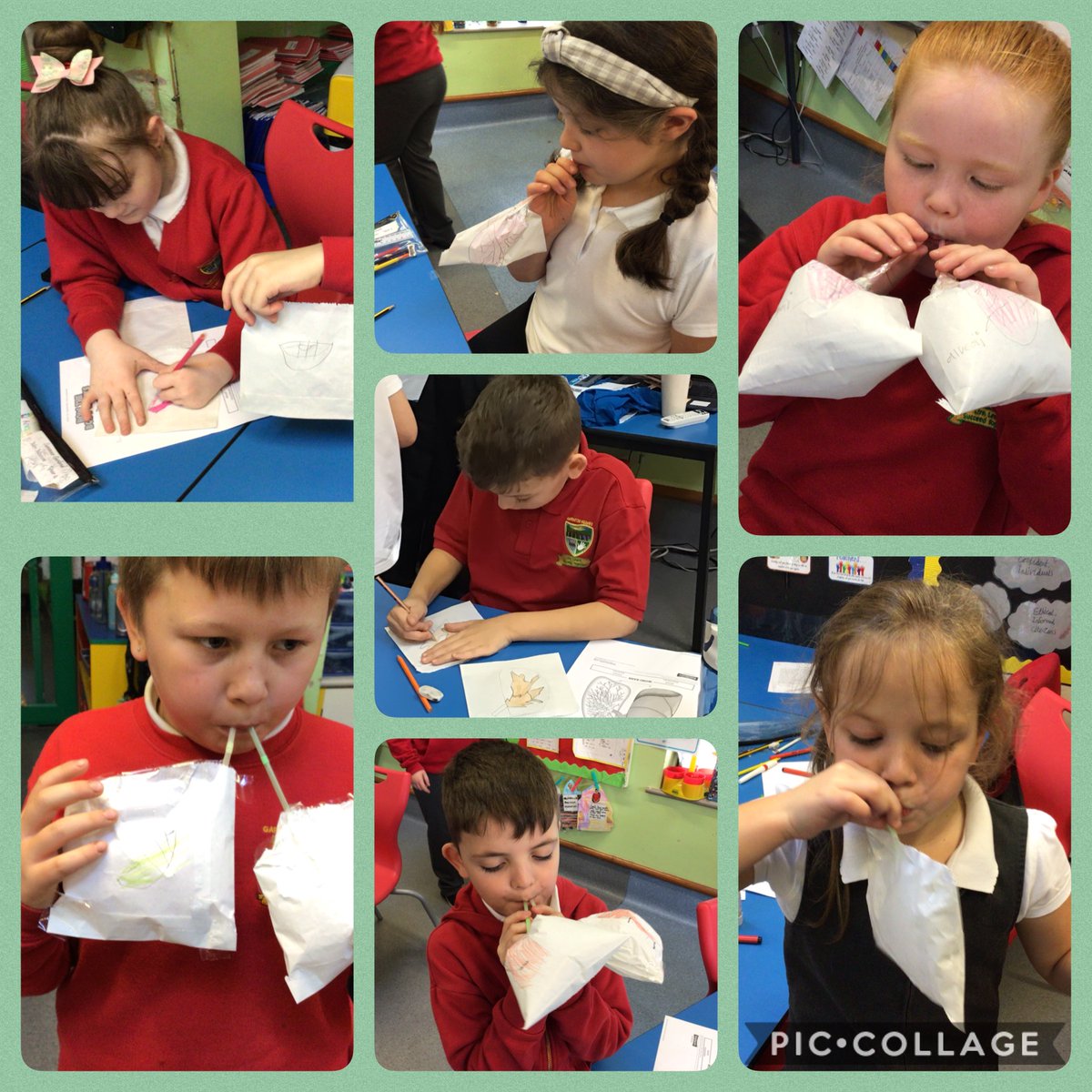 mrscpatterson91's tweet photo. Class 10 learning all about the lungs in their first aid lesson this morning and even made their own paper bag lungs 🫁 @garntegprimary @mrsemessore https://t.co/EXSNifnURY