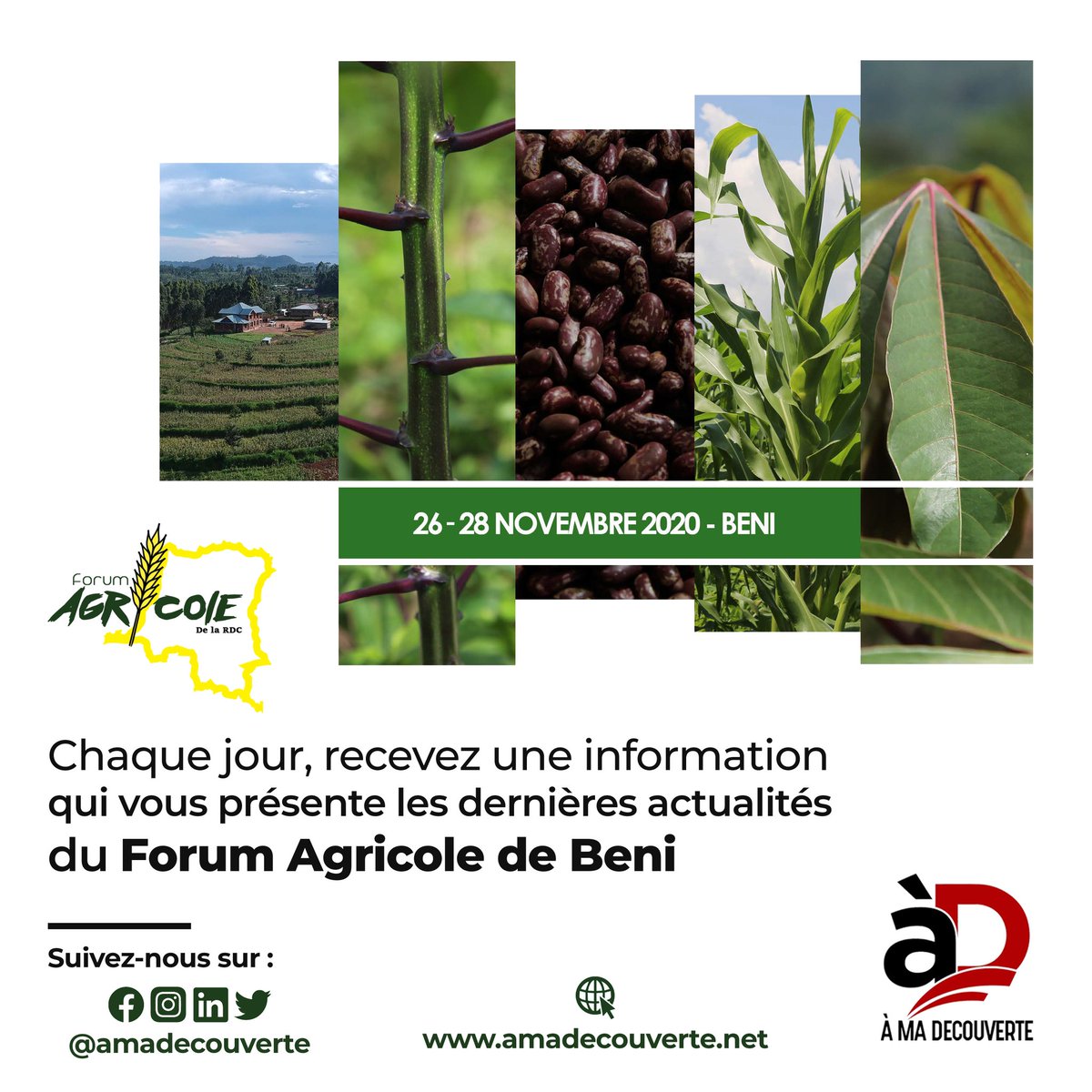 amadecouverte's tweet photo. Puisque vous ne pensez pas forcément à vous rendre à Beni pour participer au #FAB2020 , @amadecouverte vous propose de recevoir très facilement toutes les informations directement sur ses pages réseaux sociaux et son site internet!

Abonnez-vous pour rien rater! https://t.co/zt3X9JPw9Z