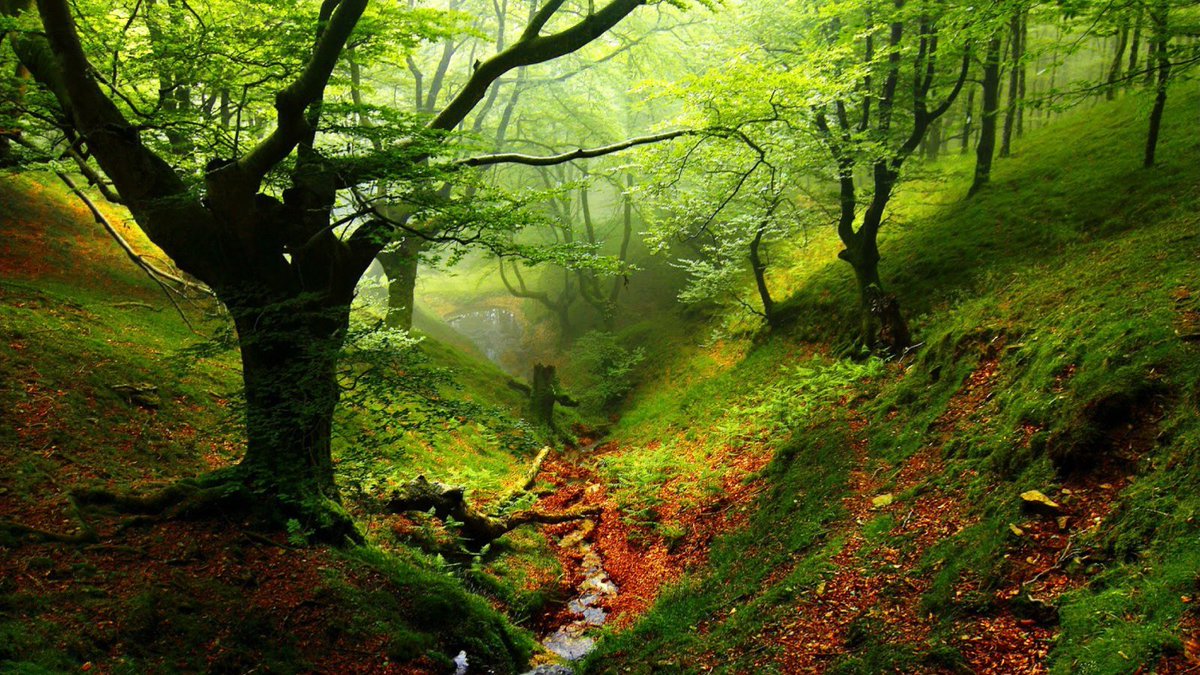 To touch the earth is to have harmony with nature.