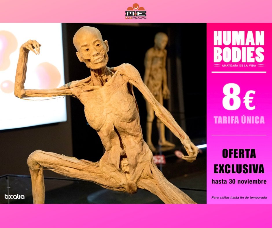 My_Entrada's tweet photo. ¡OFERTA EXCLUSIVA! Disfruta de "HUMAN BODIES" por el increíble precio de 8€. Oferta válida hasta el 30 de Noviembre. HUMAN BODIES es mucho más que una exposición o una clase de anatomía adecuada para todas las edades. ¡Descubre porqué! #humanbodies #promocion #culturasegura https://t.co/uLzeRibw5l