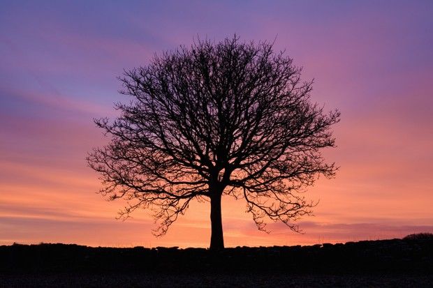 VladoBotsvadze's tweet image. Always end the day with a positive thought. No matter how hard things were, tomorrow is a fresh opportunity to make it better.