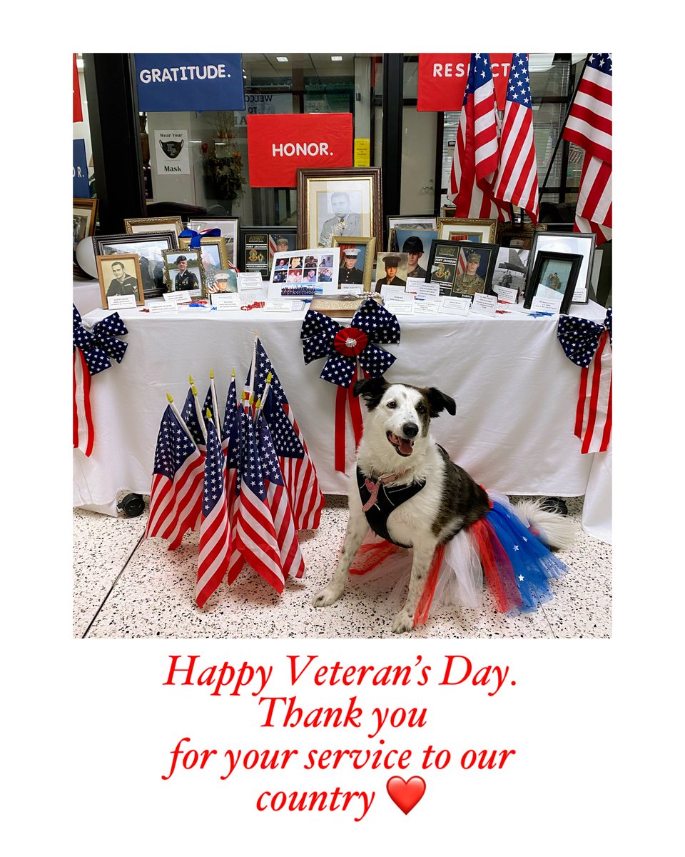 Happy Veterans Day from <a href="/TherapyCharlie/">Charlie The Therapy Dog</a> and <a href="/HumbleISD_KPHS/">Kingwood Park HS</a>!      Thank you for risking your life for our freedom ❤️🤍💙 #freedom #WeAreKpark #grateful  <a href="/JamieDeborde/">Jamie Cliffe DeBorde</a>