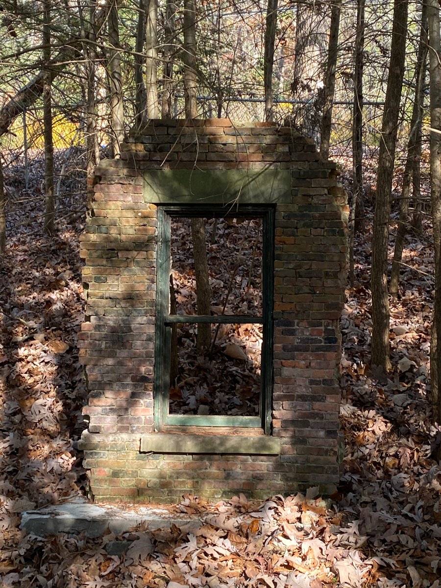 Court Tree Gallery tweet media