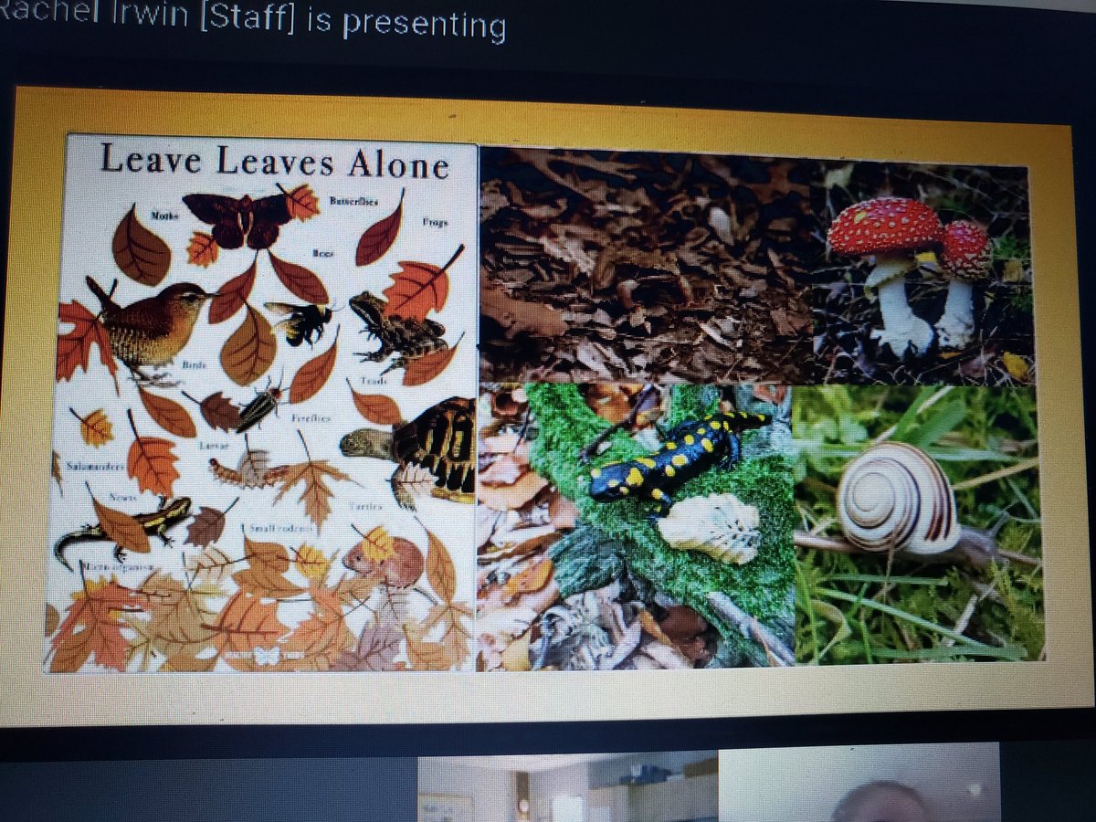 MissNott1's tweet image. Discussing different natural habitats! #gr4science