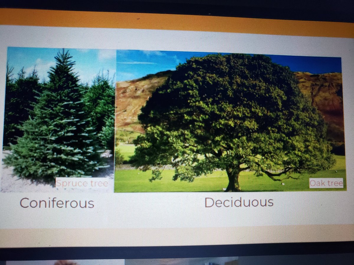 MissNott1's tweet image. Discussing different natural habitats! #gr4science