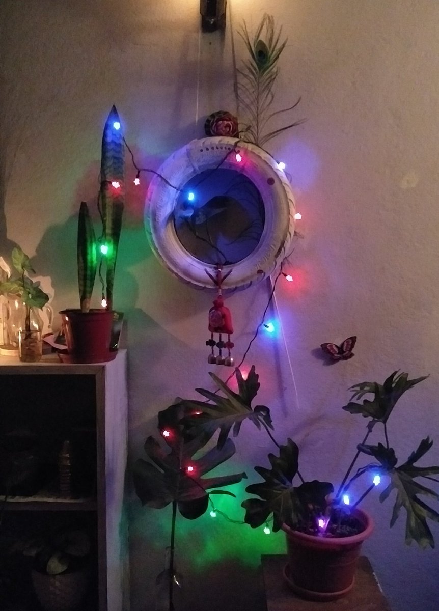 KafleShristi's tweet image. Sending you lights and love from my happy corner ❤️ #TiharVibes