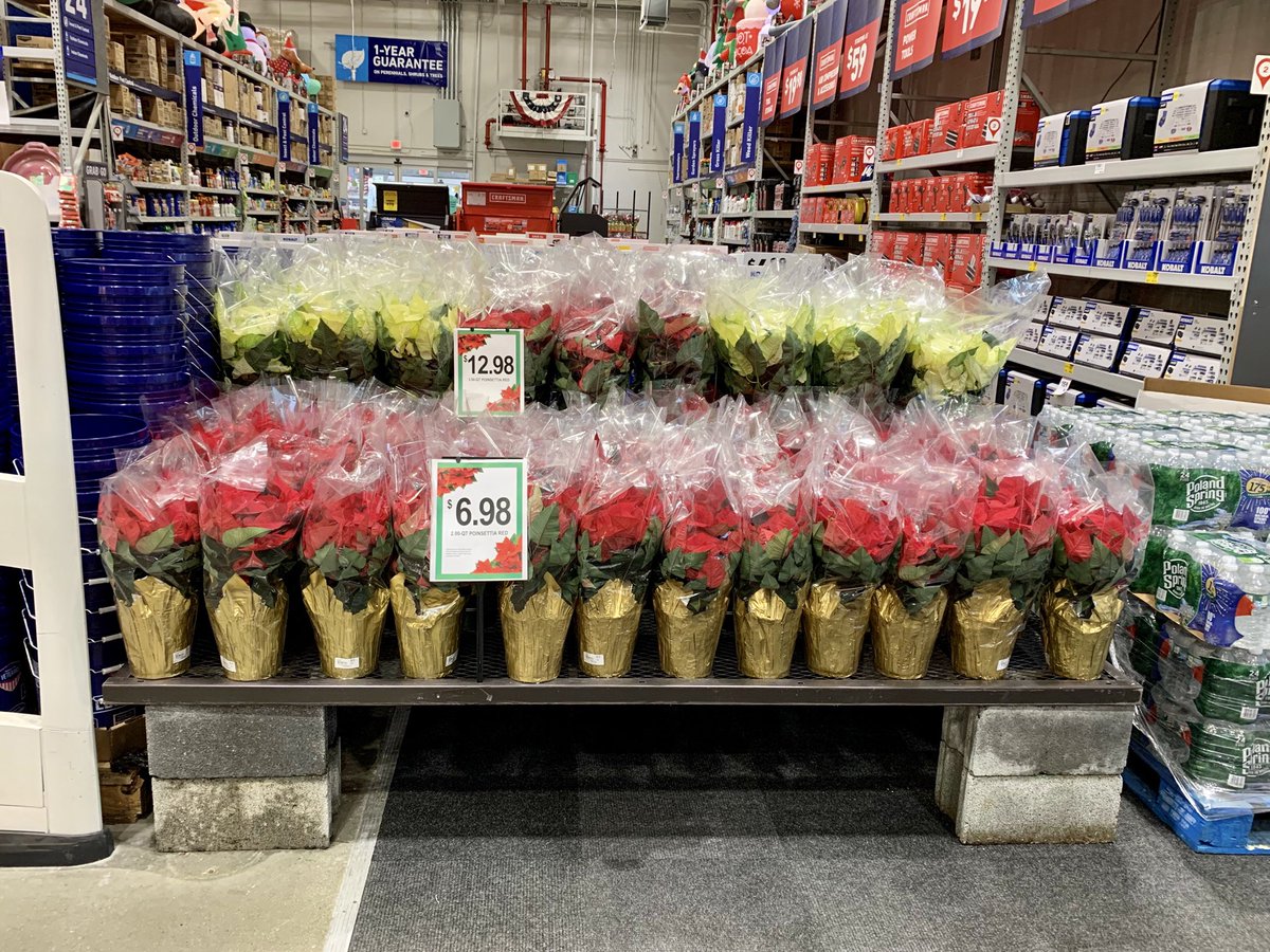 Lowe’s #522 Harrisburg welcoming customers with a blast of holiday color at the main entrance with fresh Battlefield poinsettias just in today!                                                      <a href="/LowesSteveh/">steve hahn</a> #Lowes <a href="/TipToeTyler/">Tyler Combs</a> <a href="/BattlefieldFarm/">Battlefield Farms</a> @AlanFBattlefie1 @ToddS_BFF